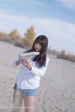 新警察故事粤语