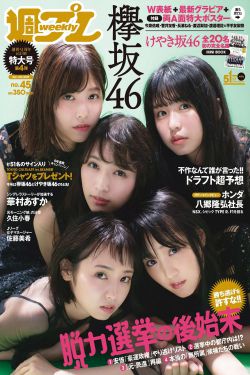 领袖 电视剧