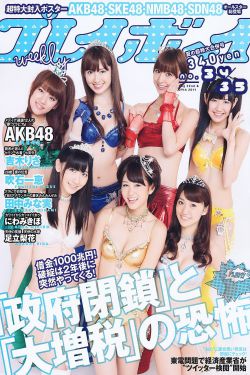 新版金银瓶2008年大官人